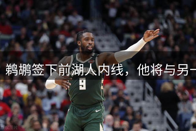 鹈鹕签下前湖人内线，他将与另一名前湖人球员竞争最后一个名额？